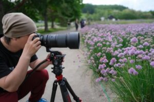 Best Budget Fujifilm Lenses