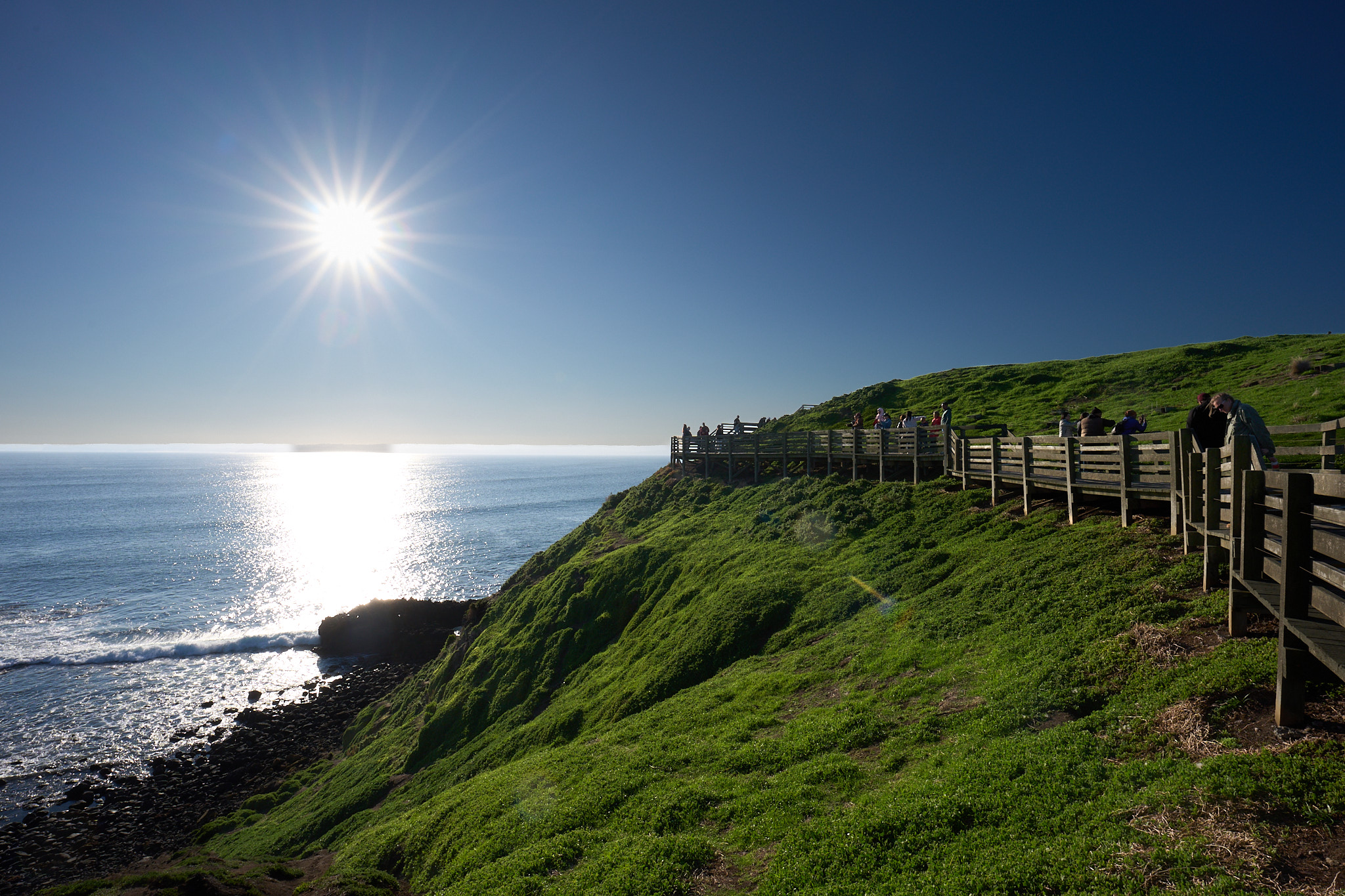 The shore near where the blue penguin roost.