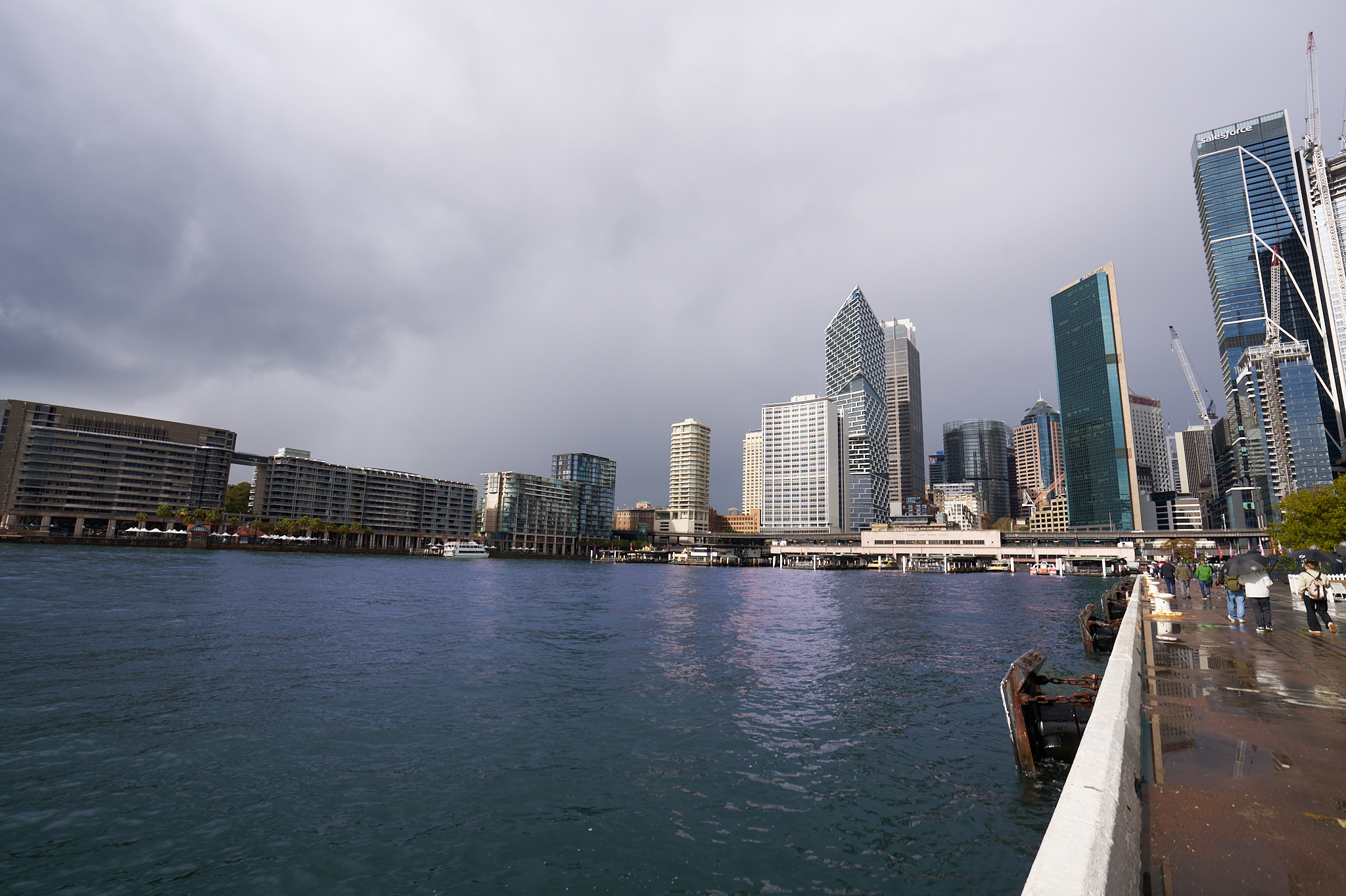 The Sydney Harbour